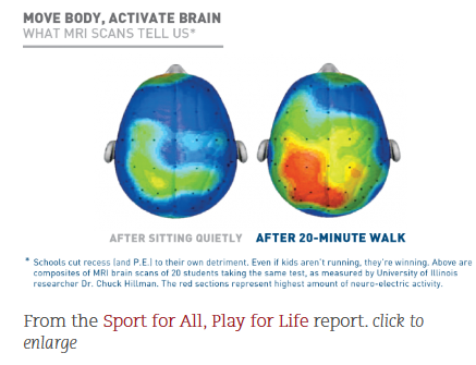 MW 6 brain and exercise