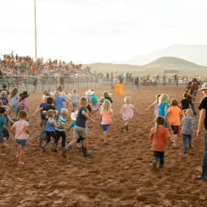 Rodeo chicken chase