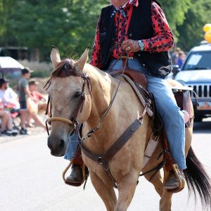Hyde Park Horse 
