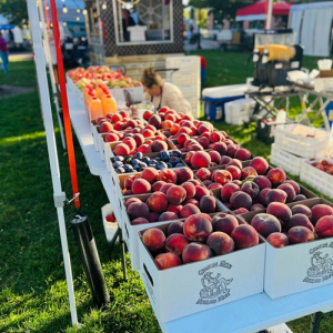 Farmers Market 2